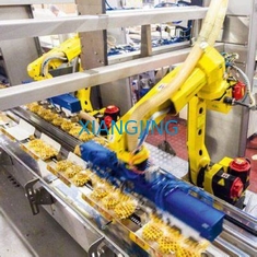 Packing 6 Axis Used Industrial Robot With Robotic Arm Hand Manipulator Payload 12kg